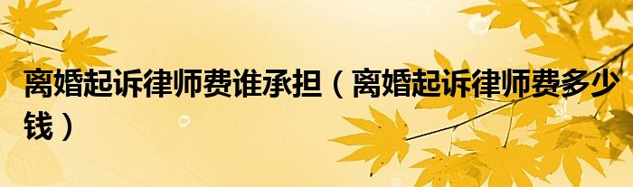 离婚起诉律师费谁承担（离婚起诉律师费多少钱）