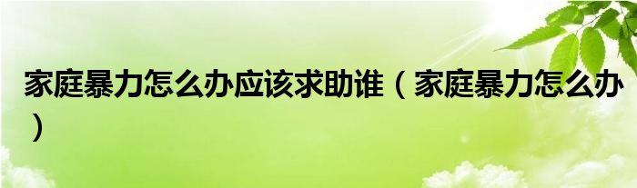 家庭暴力怎么办应该求助谁（家庭暴力怎么办）