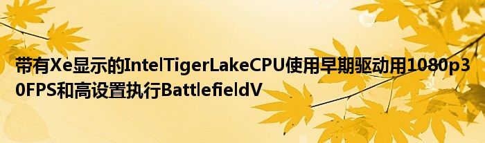 带有Xe显示的IntelTigerLakeCPU使用早期驱动用1080p30FPS和高设置执行BattlefieldV