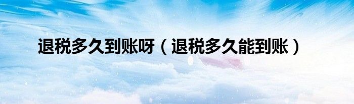 退税多久到账呀（退税多久能到账）