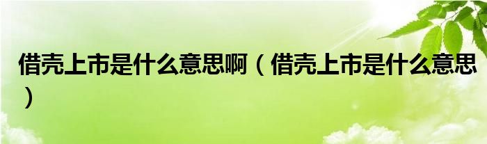 借壳上市是什么意思啊（借壳上市是什么意思）