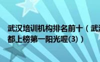 武汉培训机构排名前十（武汉市十大教育培训机构排名：文都上榜第一阳光喔(3)）