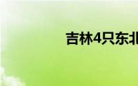 吉林4只东北虎组团春游