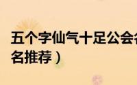五个字仙气十足公会名（五个字仙气十足公会名推荐）