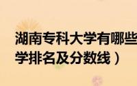 湖南专科大学有哪些（2019湖南所有专科大学排名及分数线）