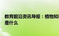 教育前沿资讯导报：植物知识讲解：世界上长得最快的植物是什么