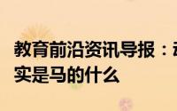 教育前沿资讯导报：动物冷知识科普：马蹄其实是马的什么