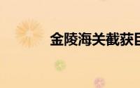 金陵海关截获巨人粉红脚蜘蛛