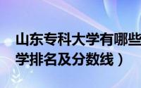 山东专科大学有哪些（2019山东所有专科大学排名及分数线）