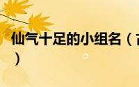 仙气十足的小组名（古风仙气十足的团名解析）