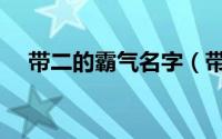 带二的霸气名字（带二的霸气名字推荐）