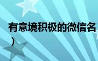 有意境积极的微信名（好听又有哲理的微信名）