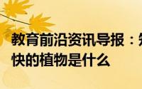 教育前沿资讯导报：知识科普：世界上长得最快的植物是什么