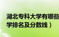 湖北专科大学有哪些（2019湖北所有专科大学排名及分数线）