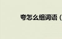 夸怎么组词语（夸的组词介绍）