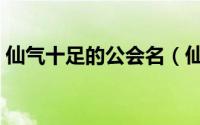 仙气十足的公会名（仙气十足的公会名推荐）