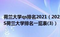 荷兰大学qs排名2021（2022荷兰大学QS排名(最新)2022QS荷兰大学排名一览表(3)）