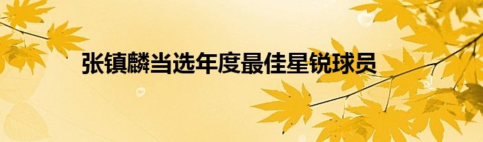 张镇麟当选年度最佳星锐球员