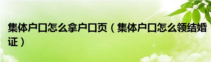 集体户口怎么拿户口页（集体户口怎么领结婚证）