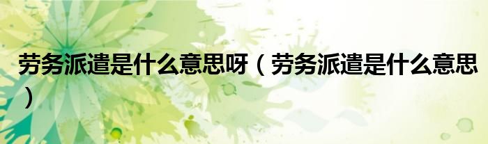 劳务派遣是什么意思呀（劳务派遣是什么意思）