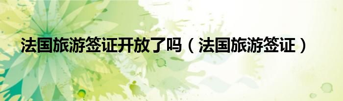法国旅游签证开放了吗（法国旅游签证）