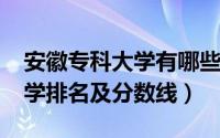 安徽专科大学有哪些（2019安徽所有专科大学排名及分数线）