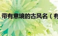 带有意境的古风名（有意境的古风门派名字）