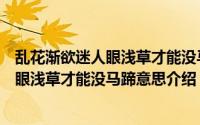 乱花渐欲迷人眼浅草才能没马蹄是什么意思（乱花渐欲迷人眼浅草才能没马蹄意思介绍）