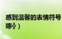 感到温馨的表情符号（QQ表情符号大全_╬叮嚀╬）