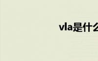 vla是什么样的车？