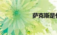 萨克斯是什么品牌？