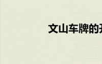 文山车牌的开头是什么？