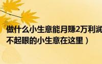 做什么小生意能月赚2万利润（月入2万的10个小生意利润高不起眼的小生意在这里）