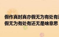假作真时真亦假无为有处有还无是什么意思（假作真时真亦假无为有处有还无是啥意思）
