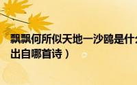 飘飘何所似天地一沙鸥是什么意思（飘飘何所似天地一沙鸥出自哪首诗）