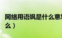 网络用语飒是什么意思（网络用语飒意思是什么）