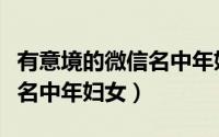 有意境的微信名中年妇女（慵懒风复古的微信名中年妇女）