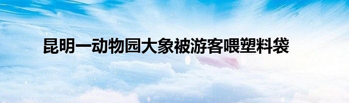 昆明一动物园大象被游客喂塑料袋