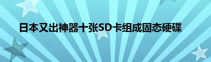 日本又出神器十张SD卡组成固态硬碟