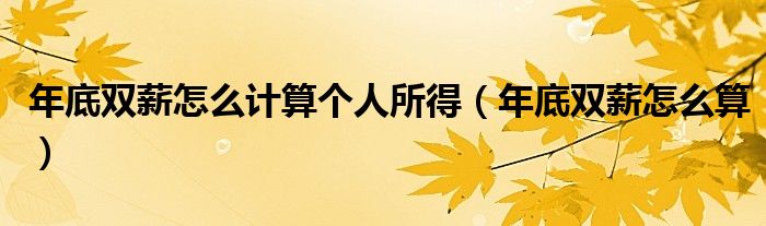 年底双薪怎么计算个人所得（年底双薪怎么算）