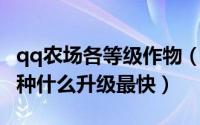 qq农场各等级作物（QQ农场两季以上的作物种什么升级最快）