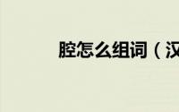 腔怎么组词（汉字腔怎么组词）