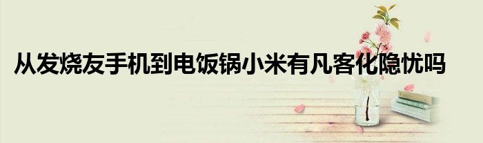 从发烧友手机到电饭锅小米有凡客化隐忧吗