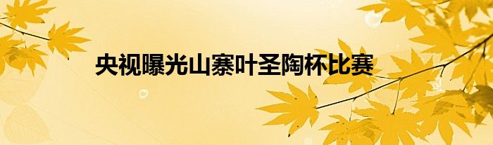 央视曝光山寨叶圣陶杯比赛
