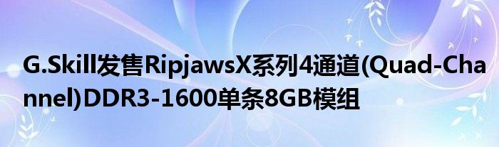 G.Skill发售RipjawsX系列4通道(Quad