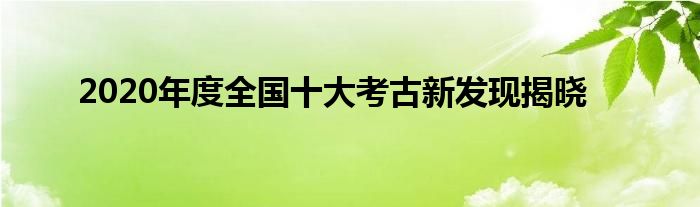 2020年度全国十大考古新发现揭晓
