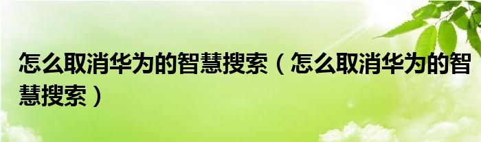 怎么取消华为的智慧搜索（怎么取消华为的智慧搜索）