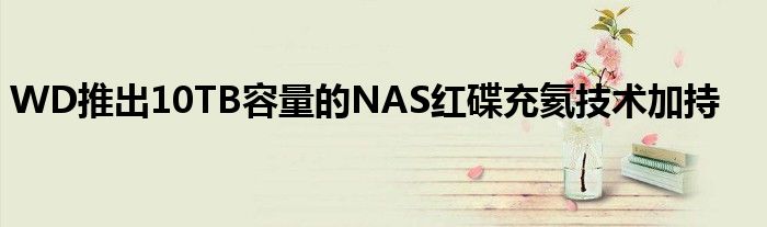 WD推出10TB容量的NAS红碟充氦技术加持