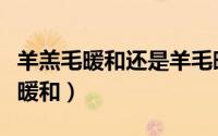羊羔毛暖和还是羊毛暖和（羊羔毛和棉哪个更暖和）