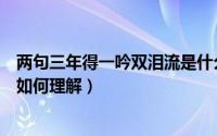 两句三年得一吟双泪流是什么意思（两句三年得一吟双泪流如何理解）